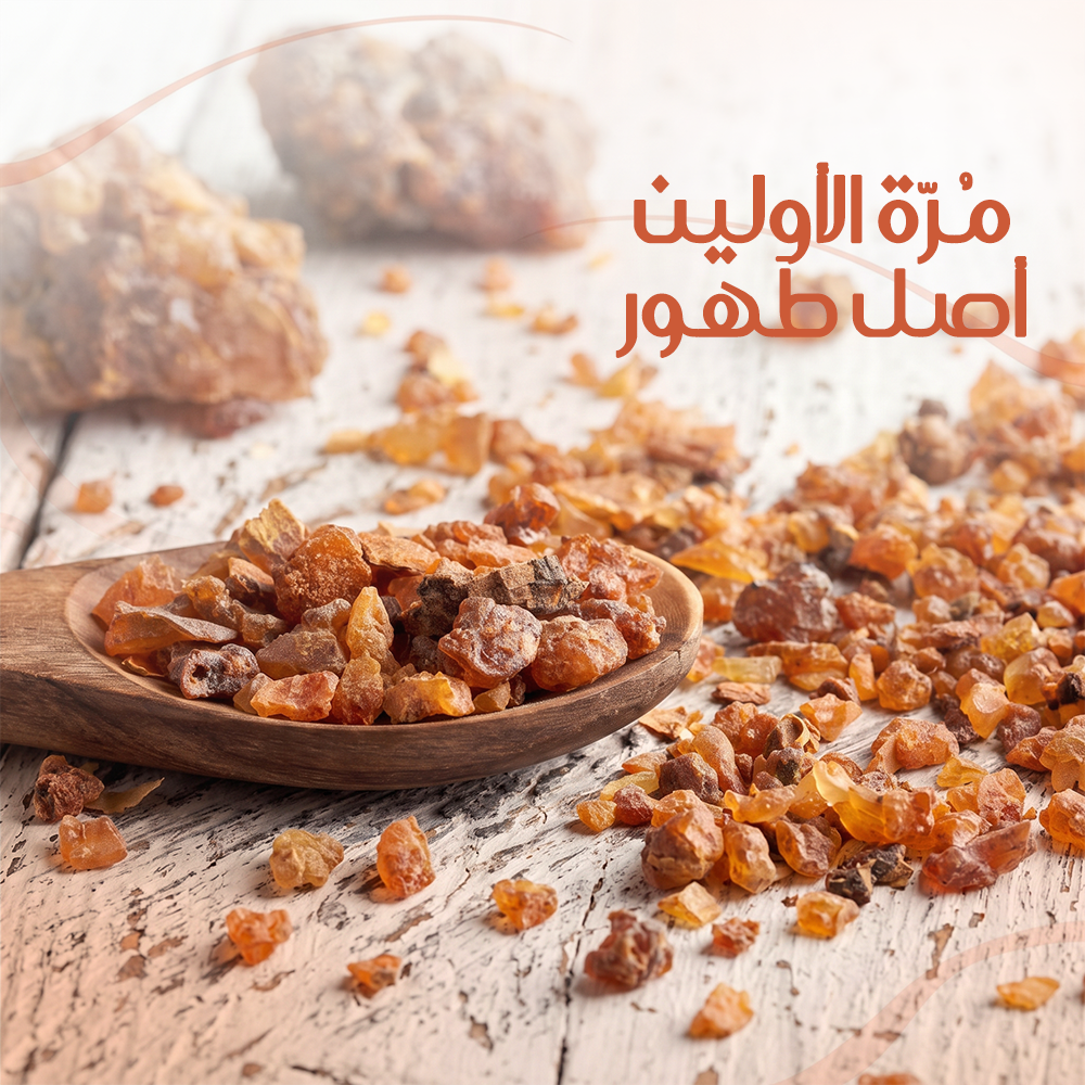 باقة مُرّة الأولين
